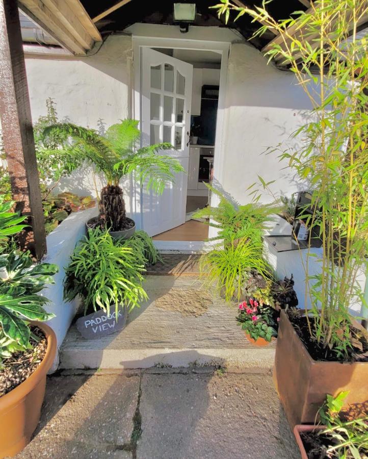 Idyllic Cornish Cottage, Superking Bed, Private Garden Dogs Welcome Truro Exterior photo